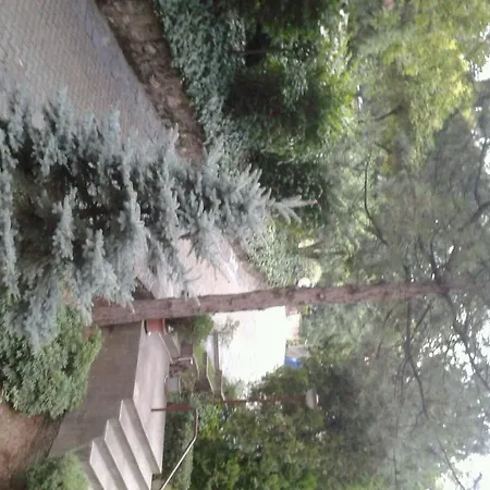 Cekirge 4